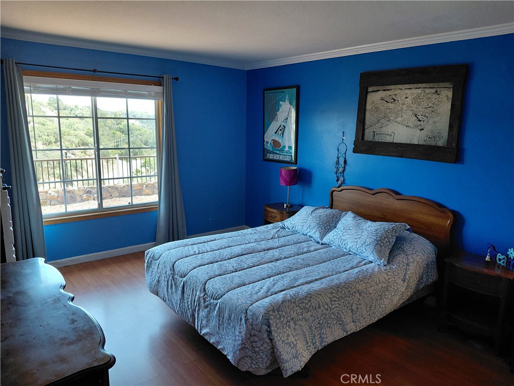 26100 Calle Corveta Property Photo 48