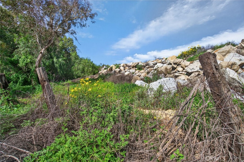 14435 Wood Road Property Photo 46