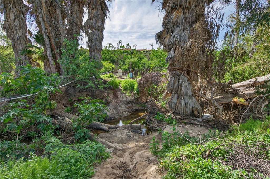 14435 Wood Road Property Photo 47