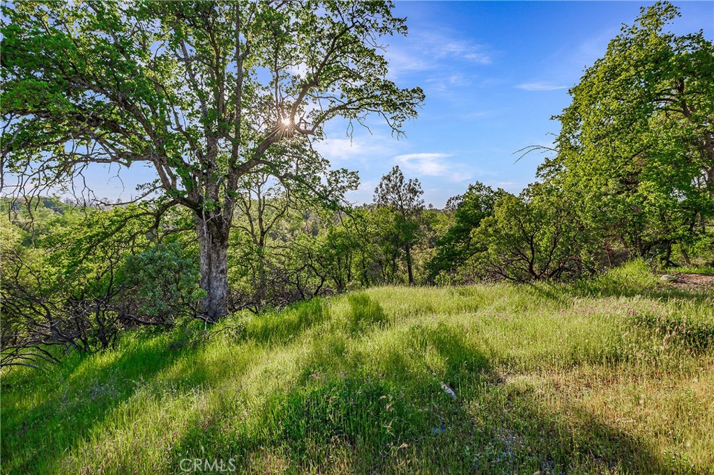 166 Quartz Hill Road Property Photo 1