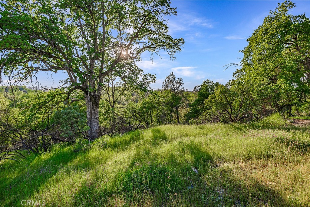 166 Quartz Hill Road Property Photo 2