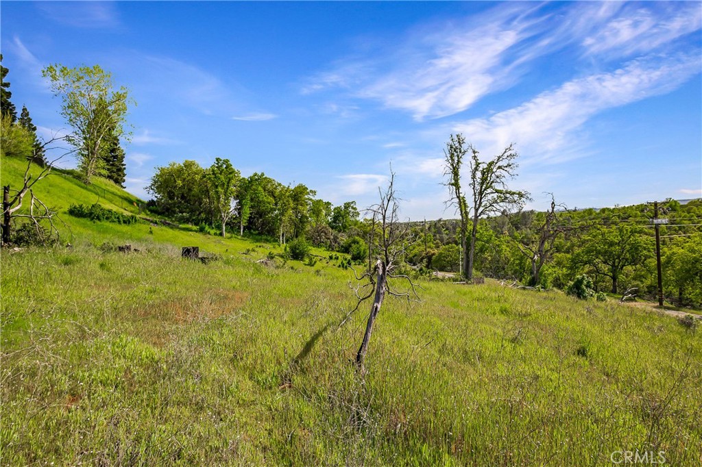 166 Quartz Hill Road Property Photo 23