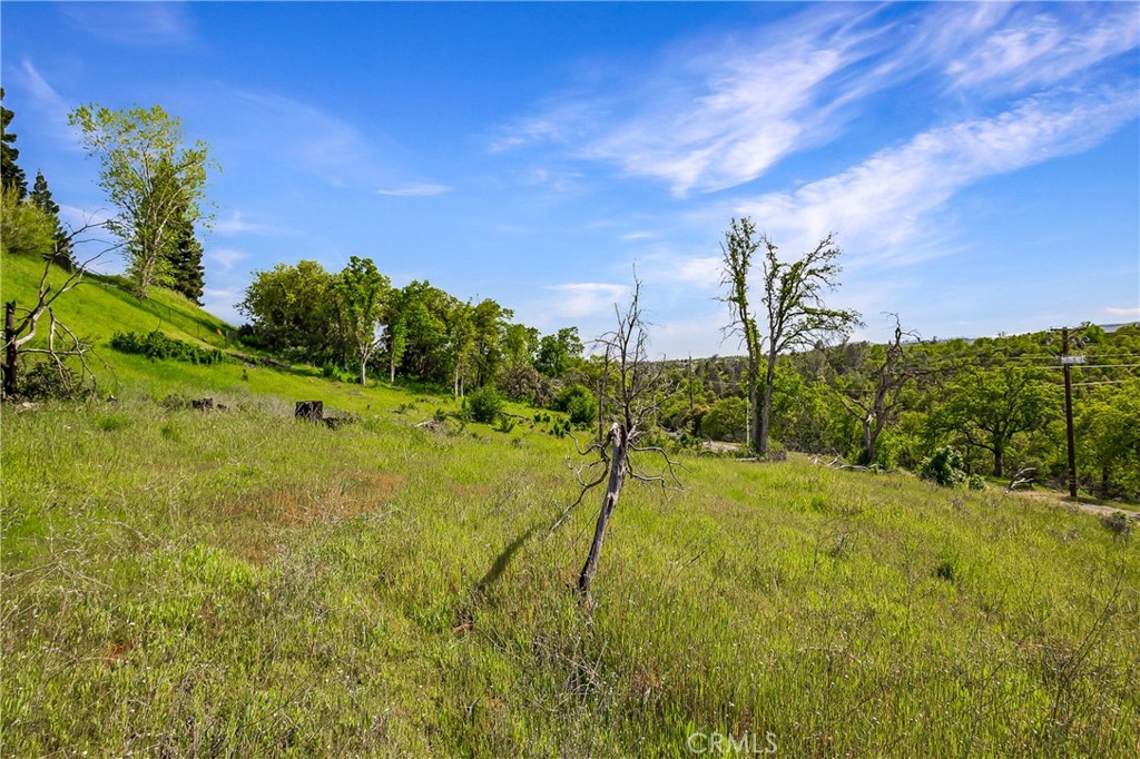 166 Quartz Hill Road Property Photo 23