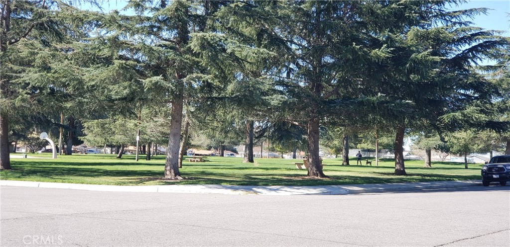 0 Woodland Property Photo 31