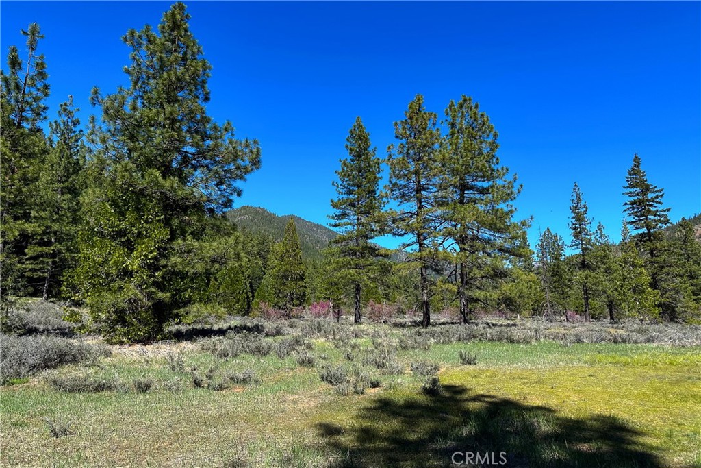79402 State Highway 3 Property Photo 3
