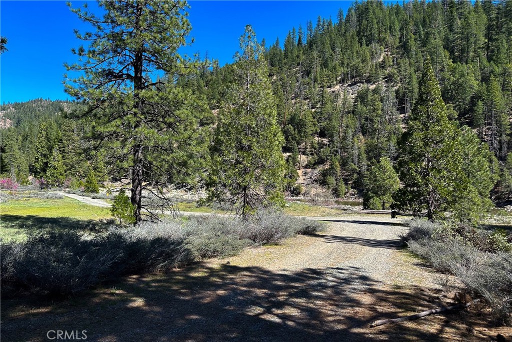 79402 State Highway 3 Property Photo 6