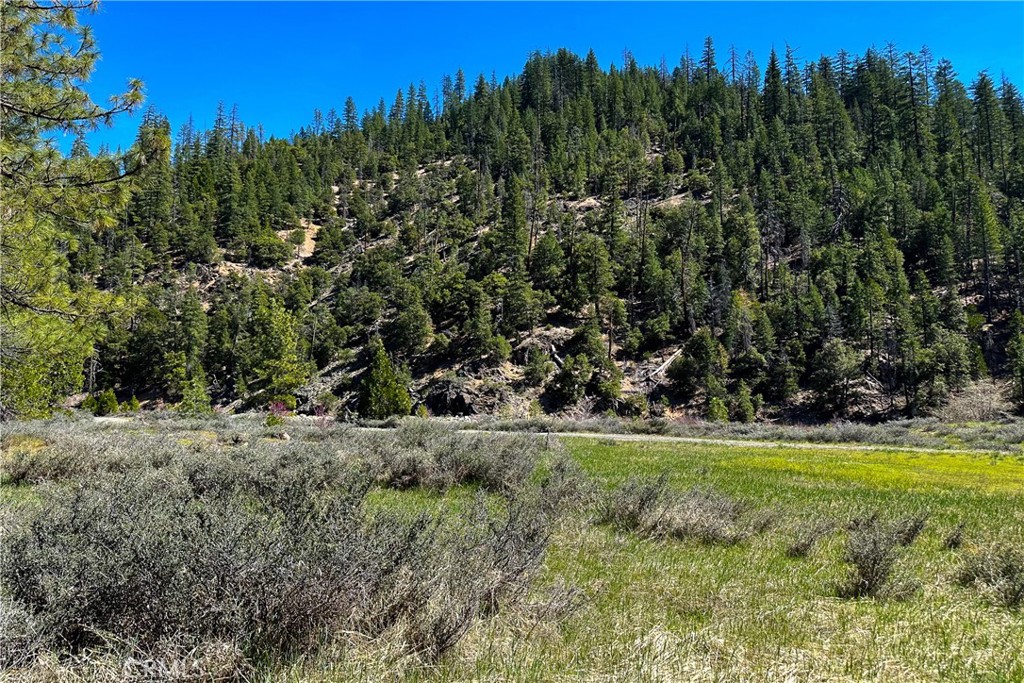 79402 State Highway 3 Property Photo 13