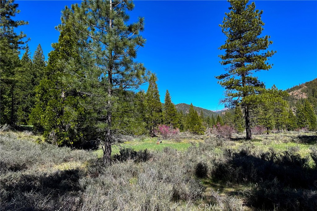 79402 State Highway 3 Property Photo 15