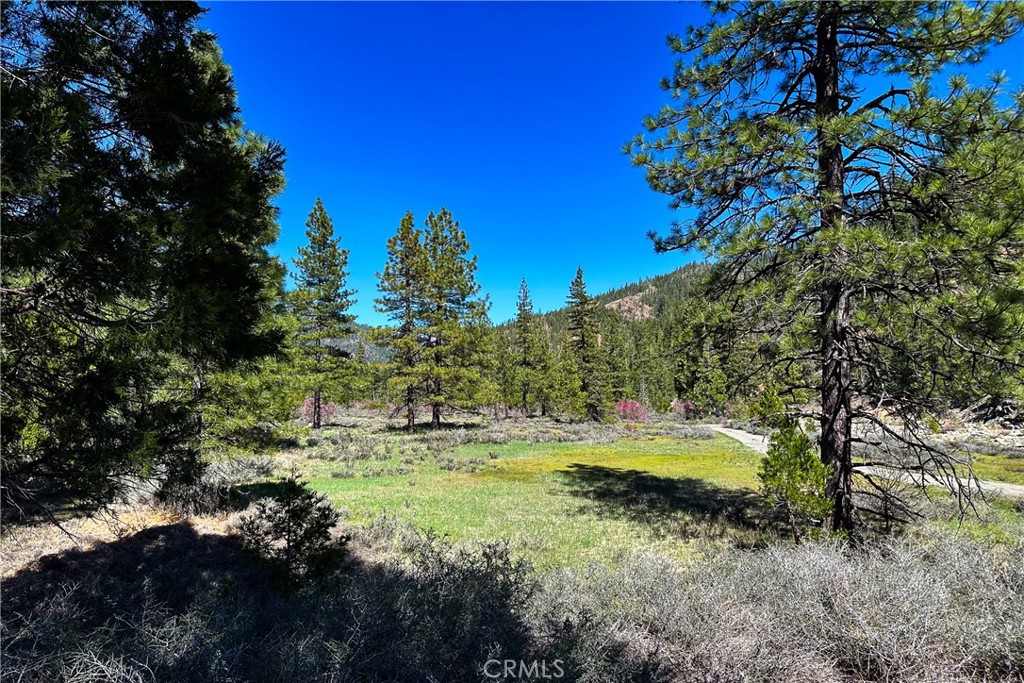 79402 State Highway 3 Property Photo 18