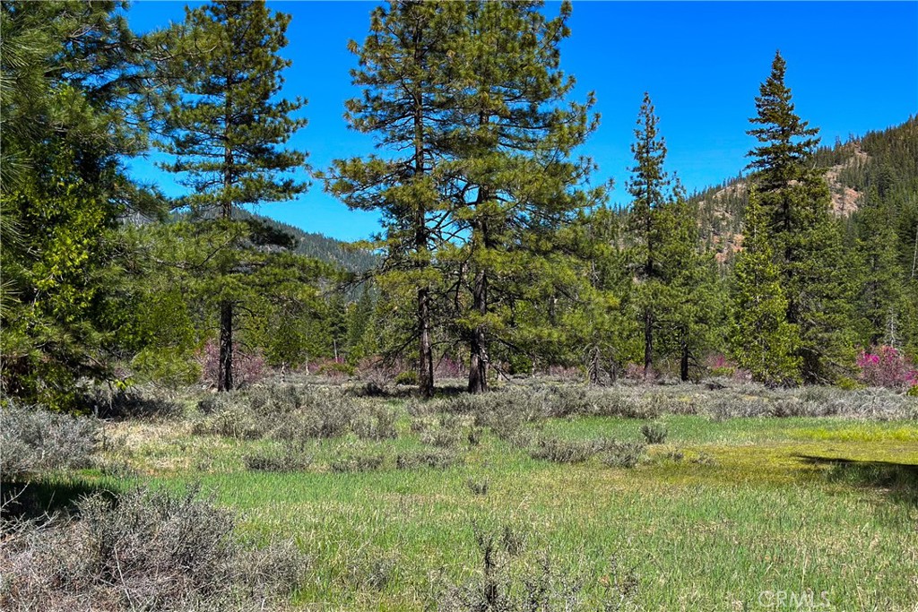 79402 State Highway 3 Property Photo 19