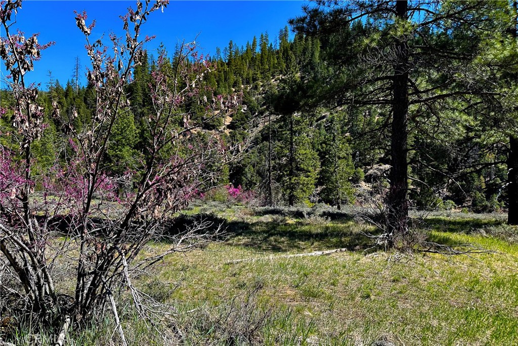 79402 State Highway 3 Property Photo 20