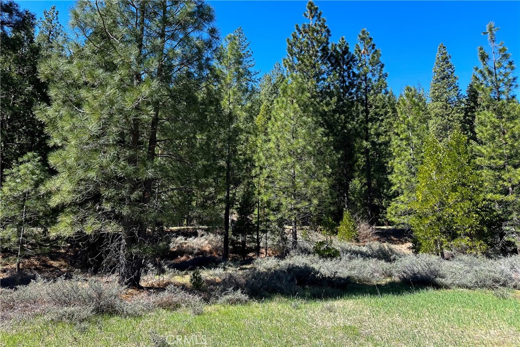 79402 State Highway 3 Property Photo 21