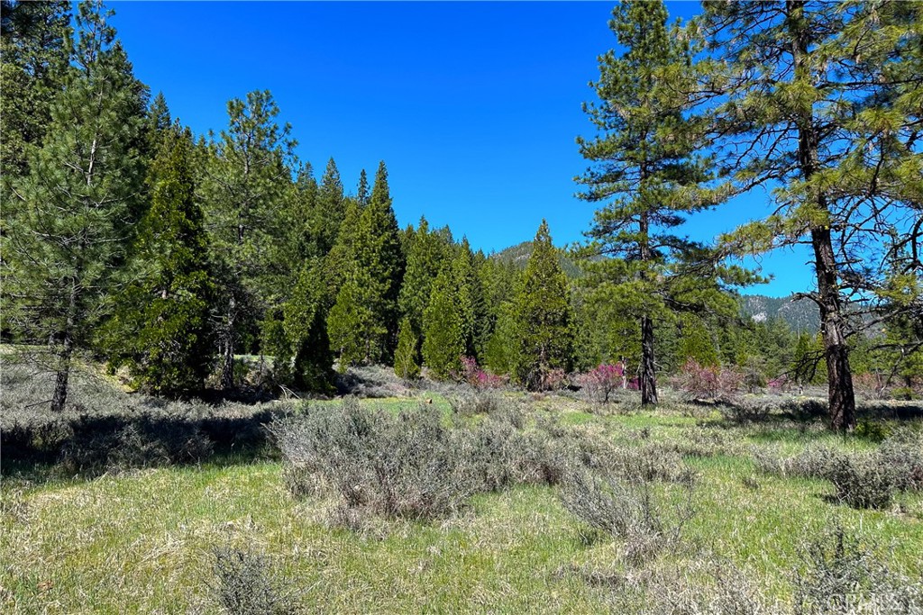 79402 State Highway 3 Property Photo 22