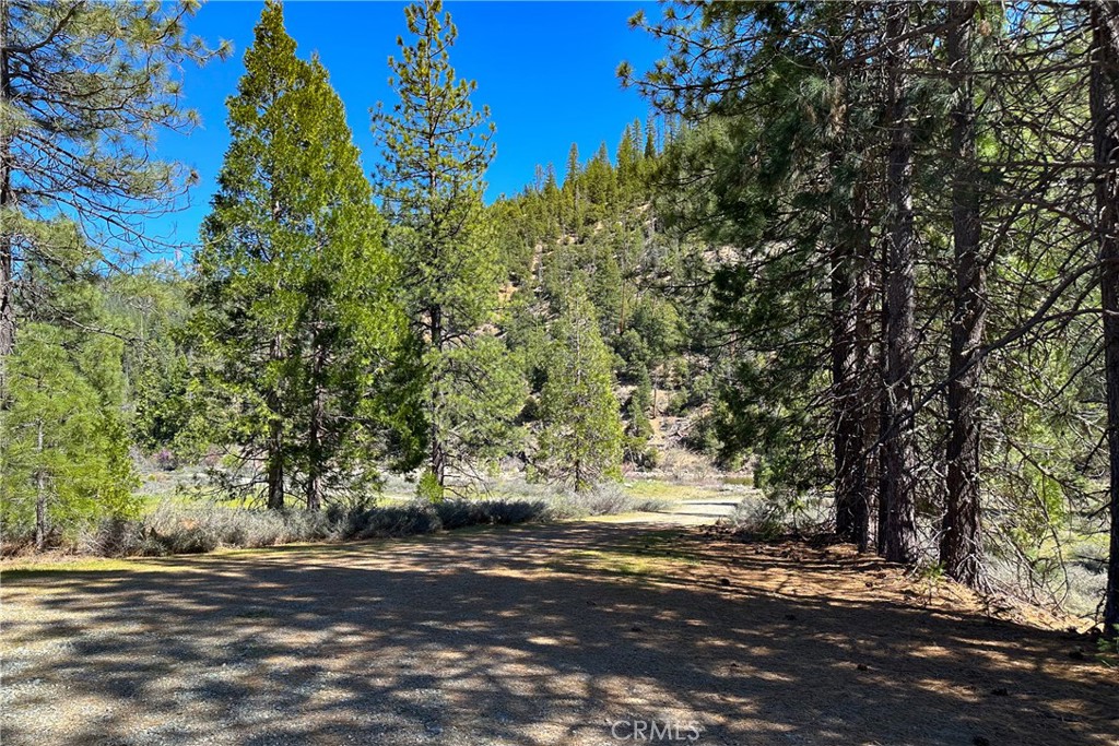 79402 State Highway 3 Property Photo 24