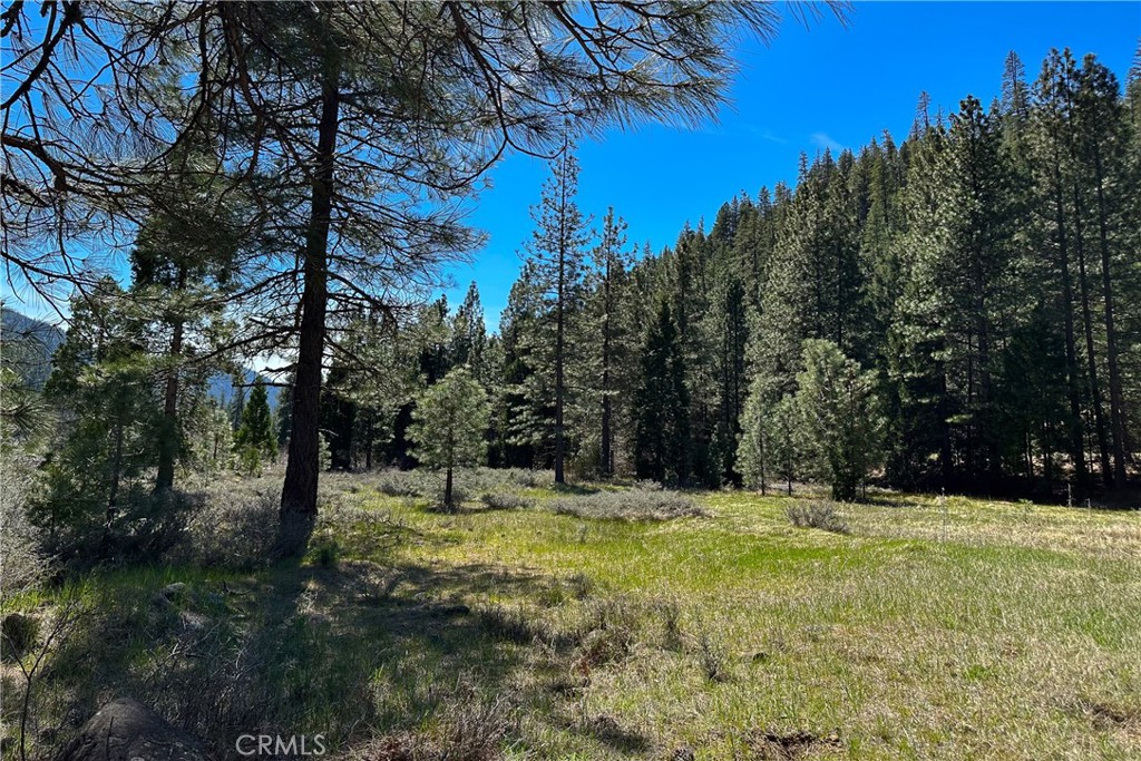 79402 State Highway 3 Property Photo 25