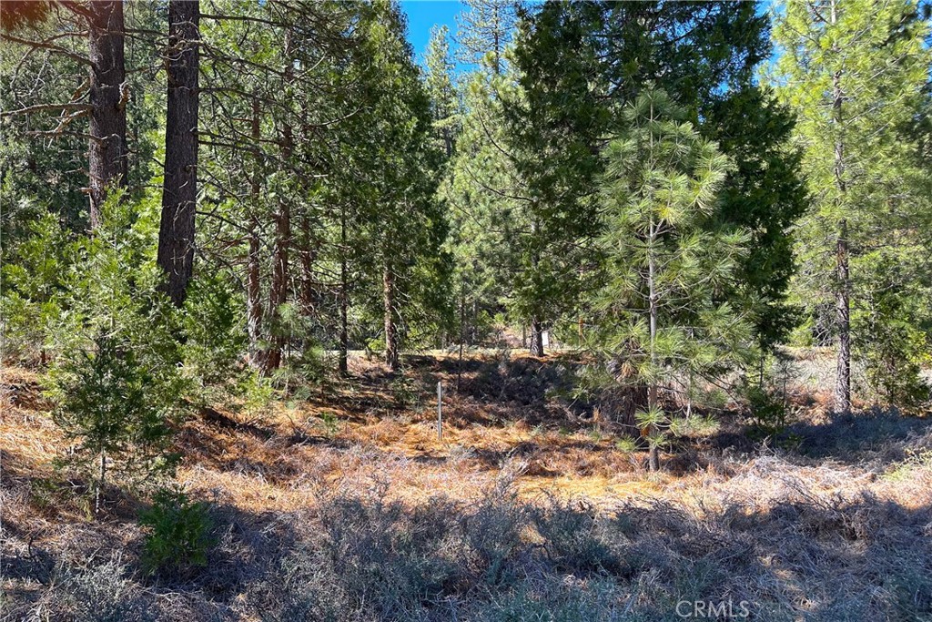 79402 State Highway 3 Property Photo 26