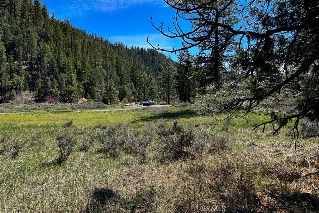 79402 State Highway 3 Property Photo 28