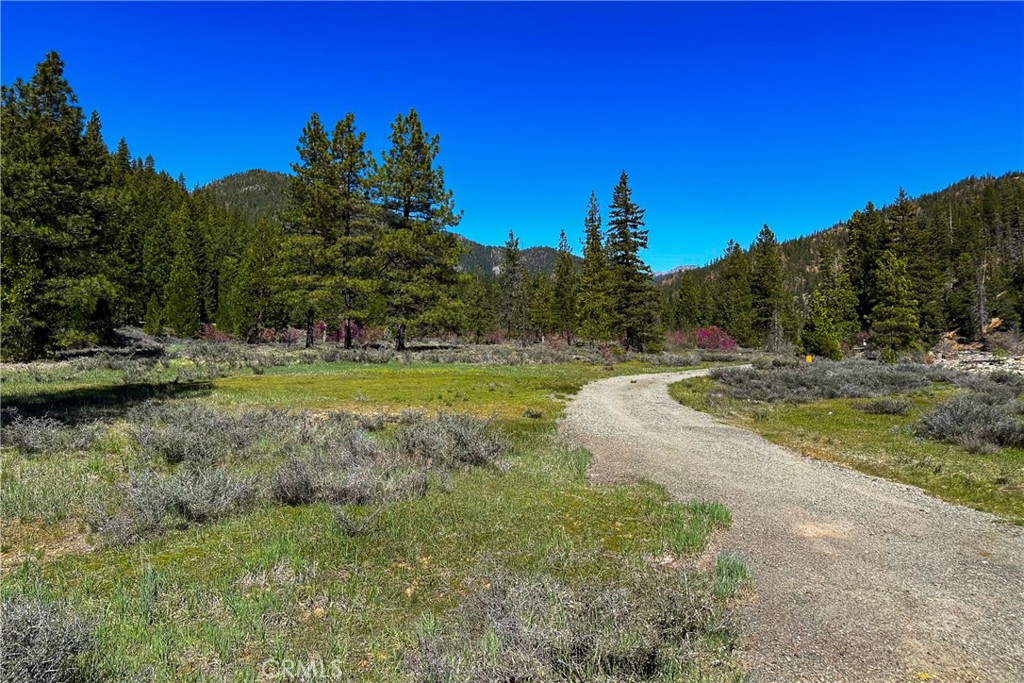 79402 State Highway 3 Property Photo 29