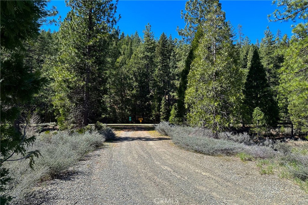 79402 State Highway 3 Property Photo 30
