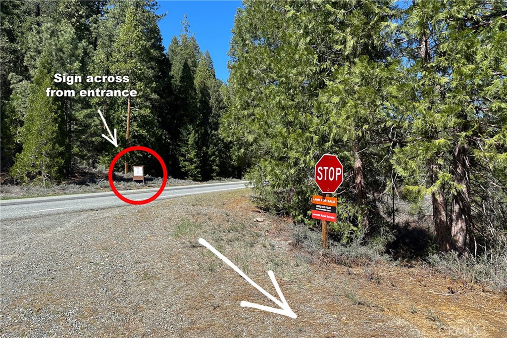 79402 State Highway 3 Property Photo 33
