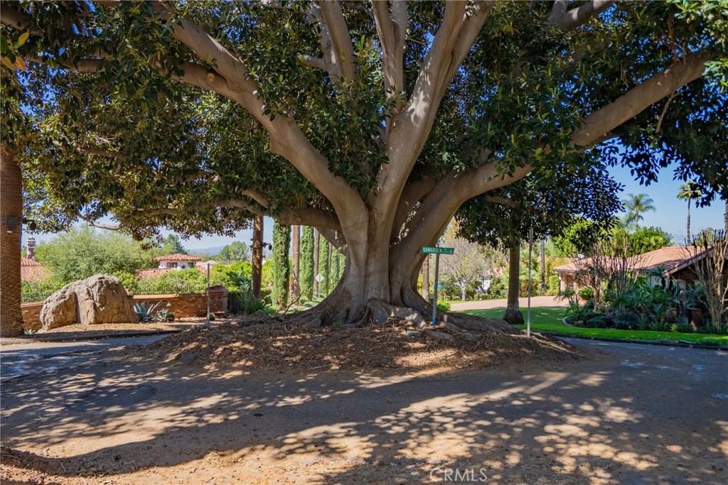 6480 Hawarden Property Photo 31