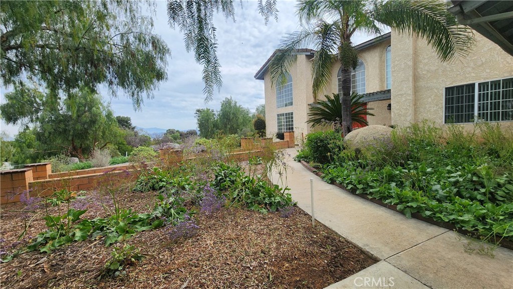 23729 Citrus Avenue Property Photo 10
