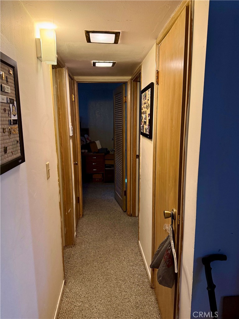 31776 Panorama Road Property Photo 11