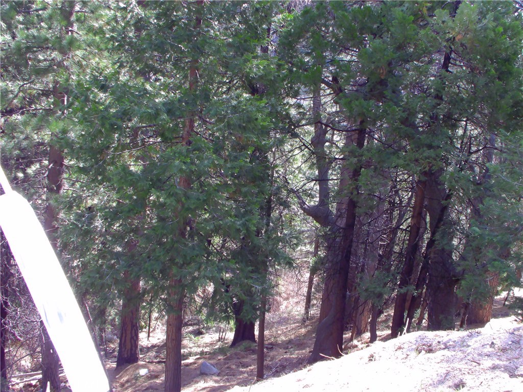 2379 Spring Oak Property Photo 3