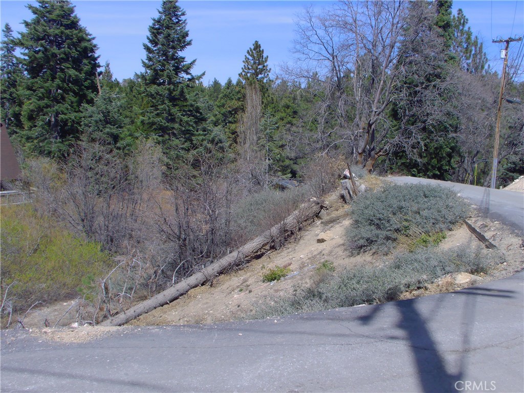 33564 Falling Leaf Dr. Property Photo 3