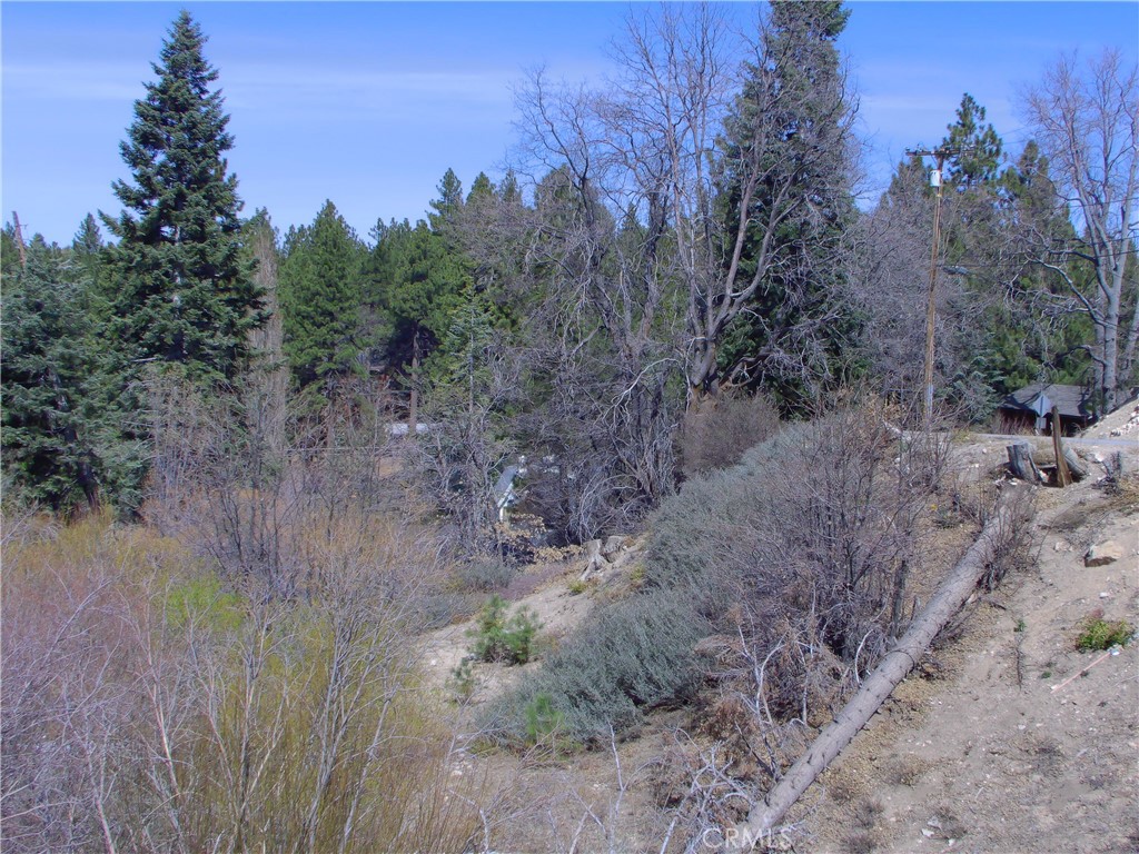 33564 Falling Leaf Dr. Property Photo 4