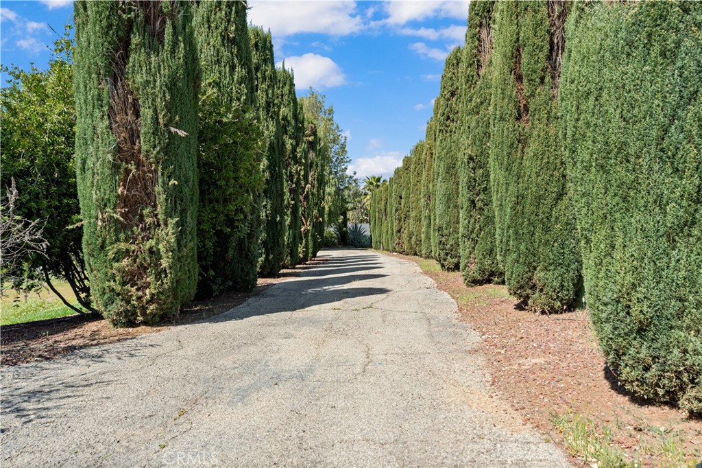 16872 Iris Property Photo 2