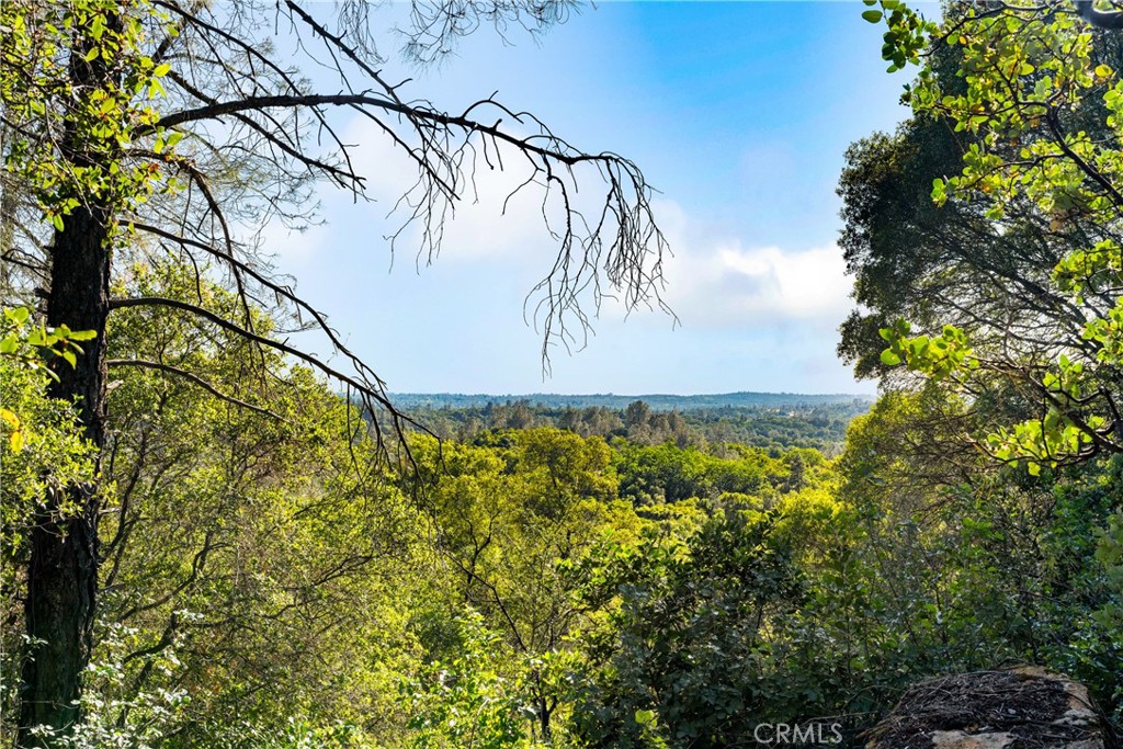 0 Iron Mine Road Property Photo 1