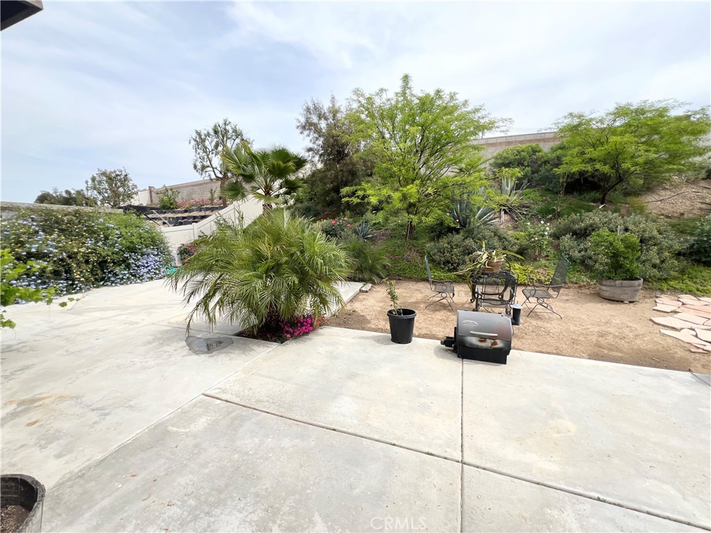 31826 Livingston Street Property Photo 46