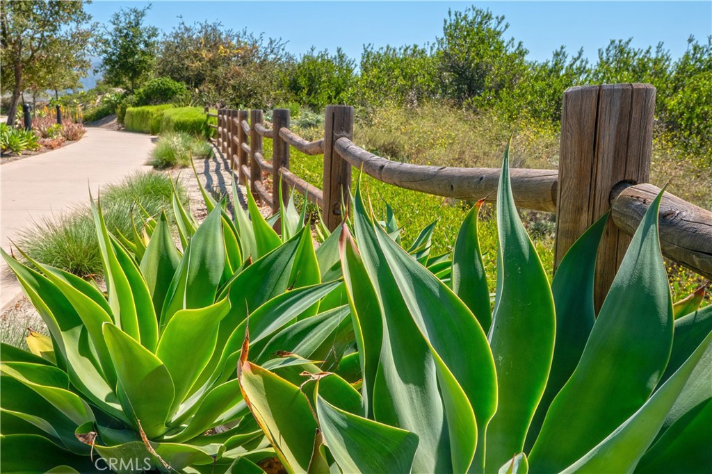 609 Shadowbrook Property Photo 45