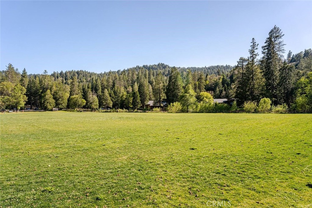 24656 Bernard Property Photo 46