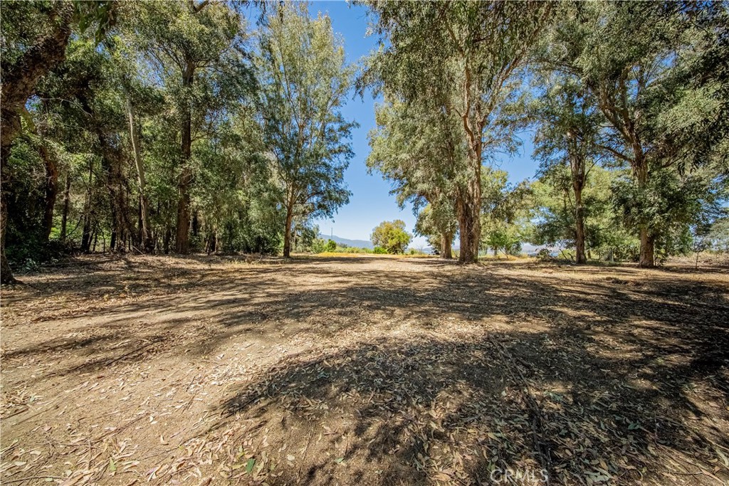 18240 Grand Property Photo 12