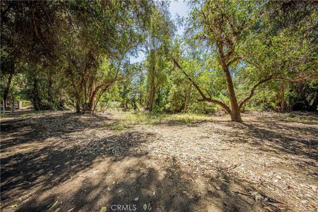 18240 Grand Property Photo 14