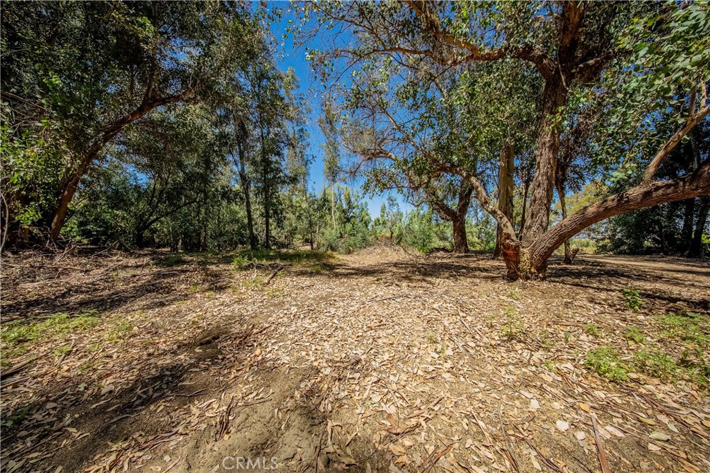 18240 Grand Property Photo 15
