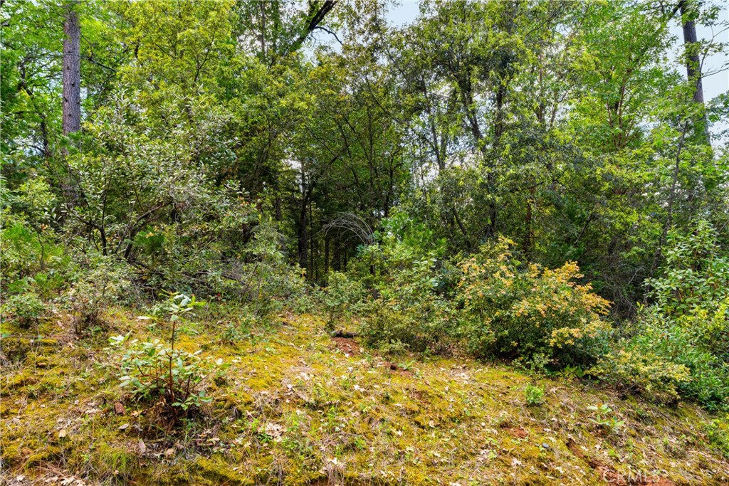 21324 Aqueduct Circle Property Photo 14