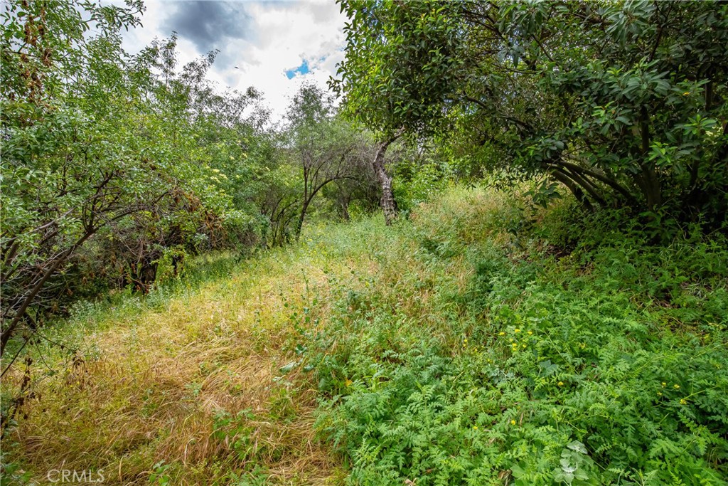 7266 Tranquil Drive Property Photo 15