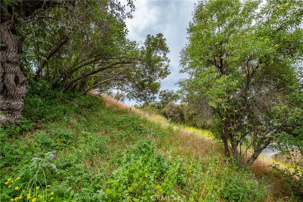 7266 Tranquil Drive Property Photo 16
