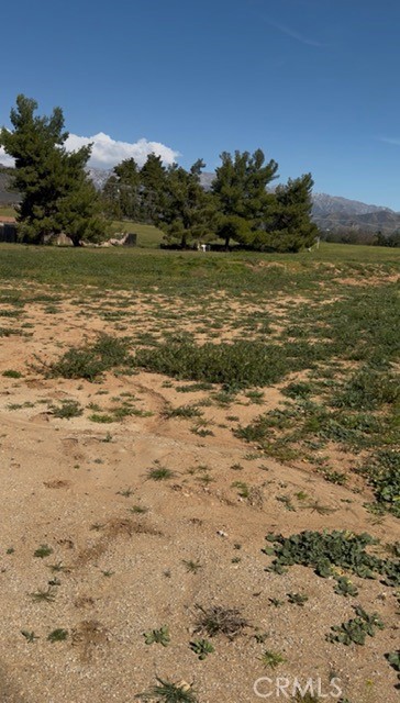 10316 Union Property Photo 2