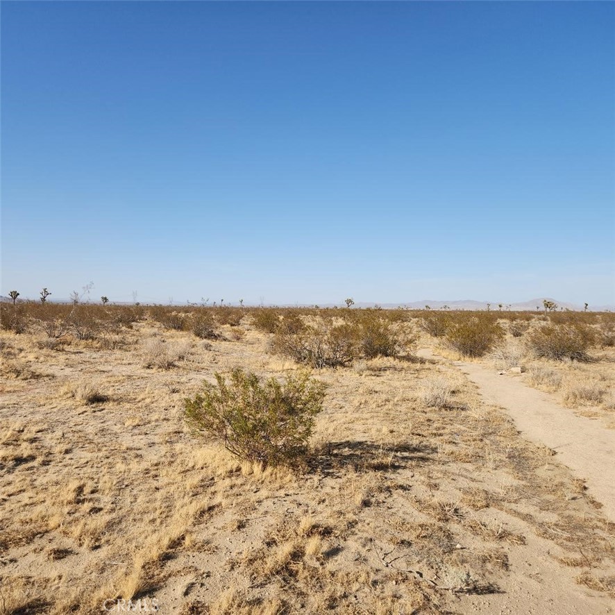 123 Wilson Ranch Road Property Photo 3