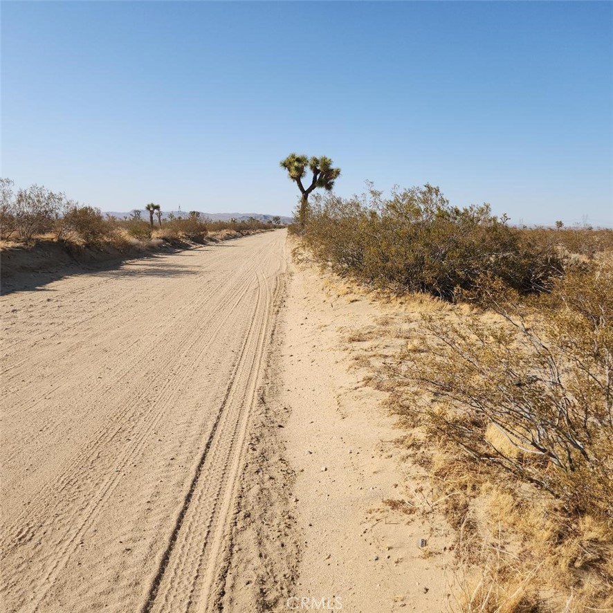 123 Wilson Ranch Road Property Photo 4