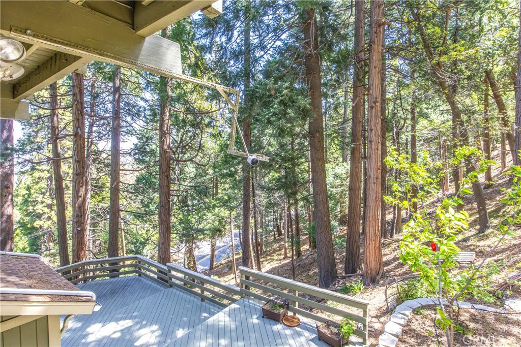 24098 Skyland Property Photo