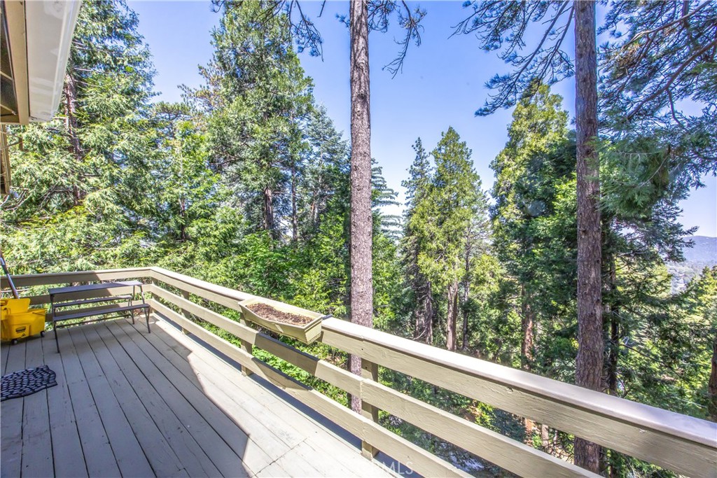 24098 Skyland Property Photo 5