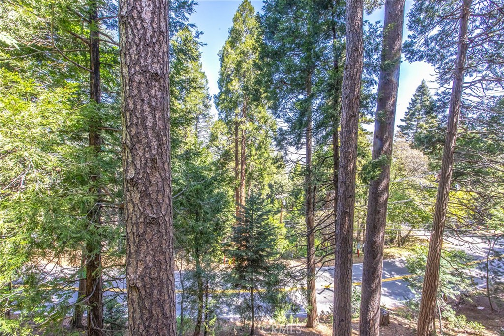 24098 Skyland Property Photo 12