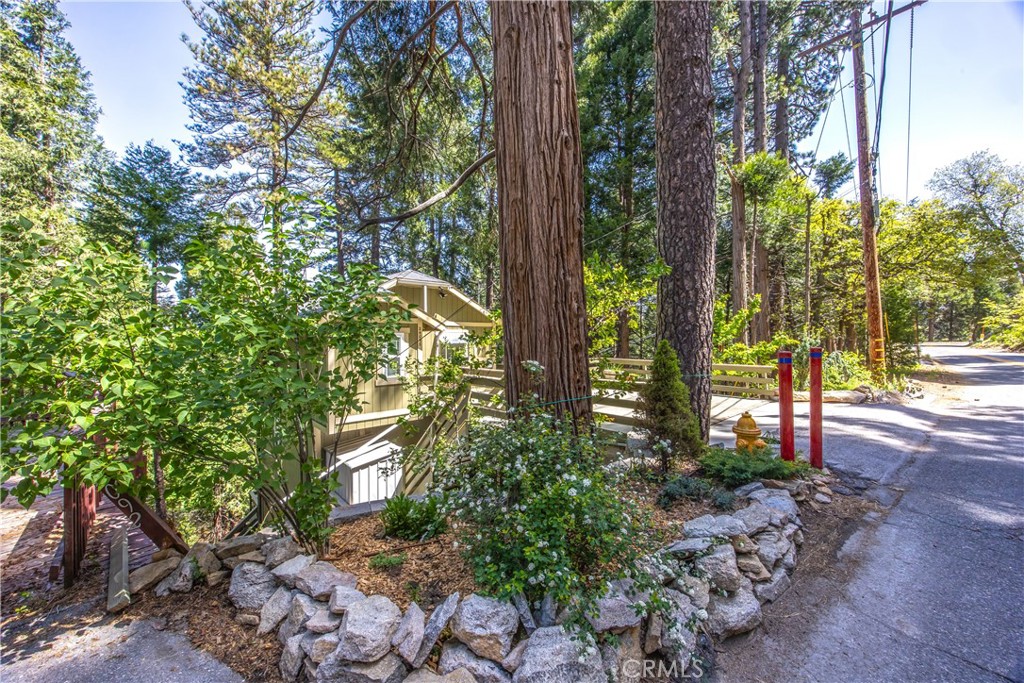 24098 Skyland Property Photo 47