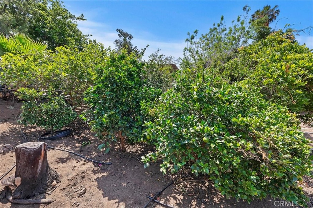115 East Street Property Photo 57