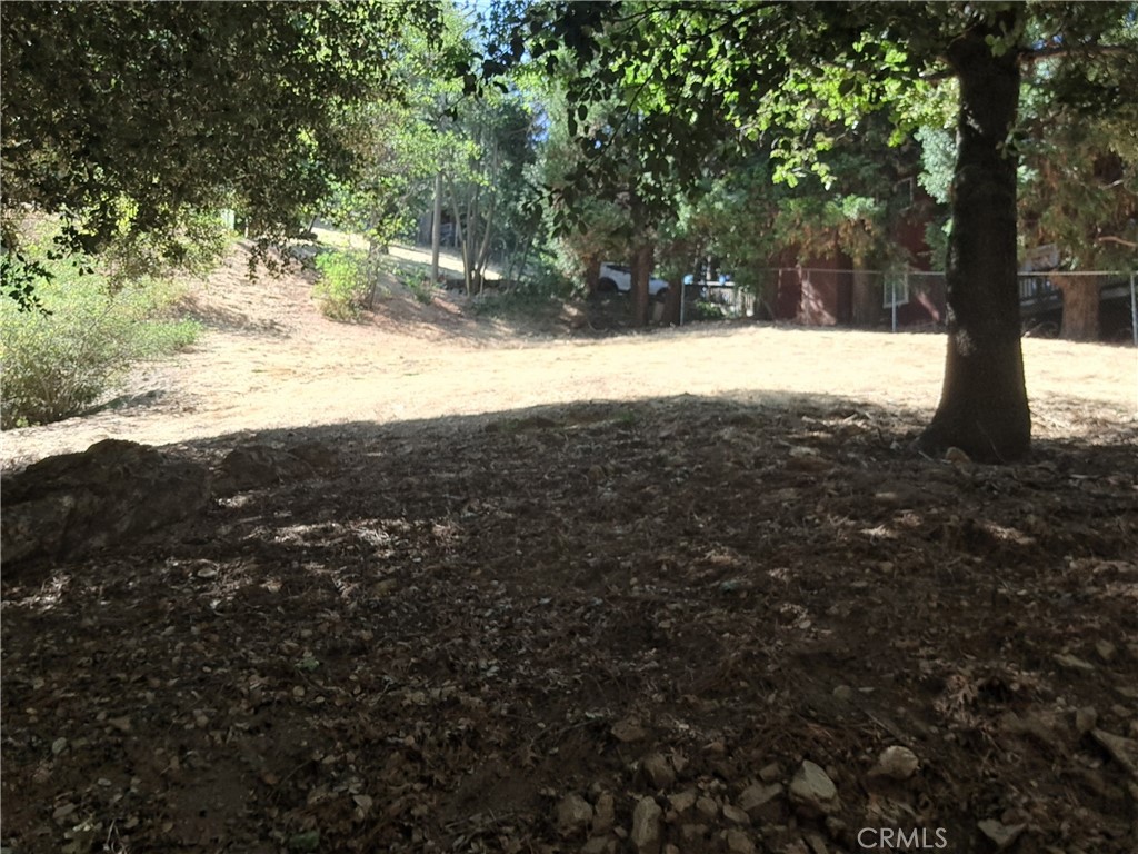 24814 Edelweiss Property Photo 1